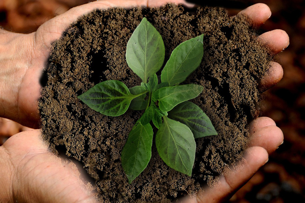 EIG - Sostenibilidad